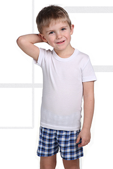 ALAN