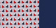 C133-C133