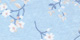 C26-C26